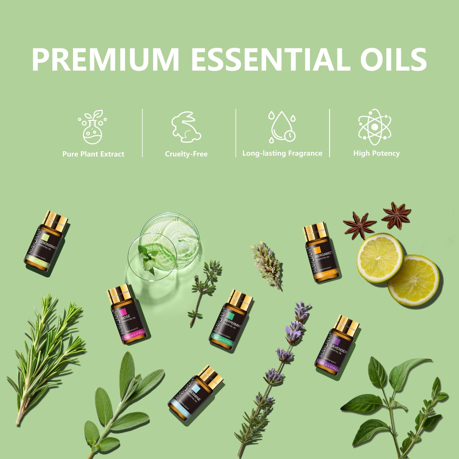 MAYJAM Tea Tree 20 Pcs Pure Essential Oil Gift Set, 3.38 Fl Oz (Pack of 1)