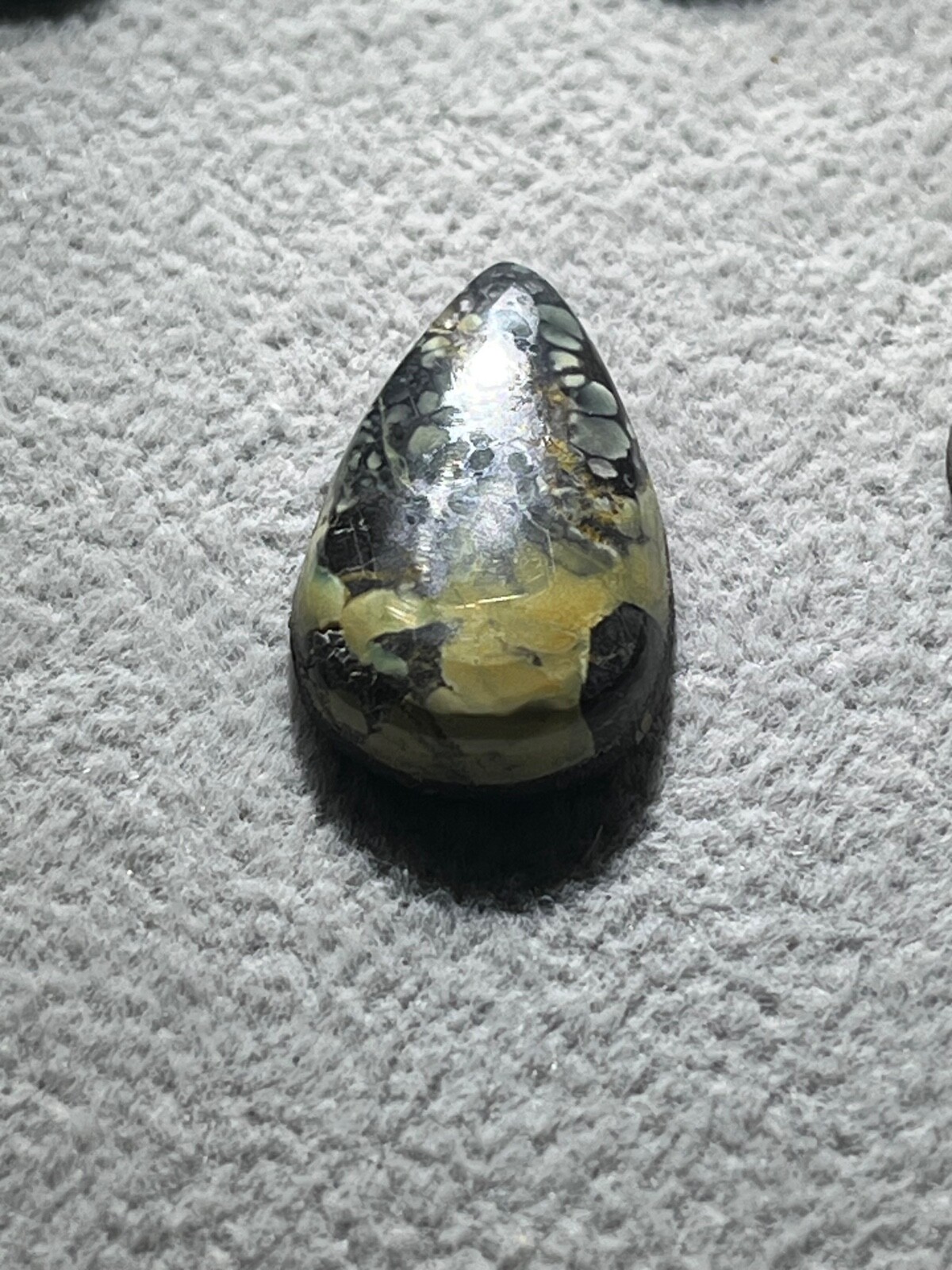 Tree Frog Variscite mine 10.3 ctw pear tear drop Cabochon NV, USA