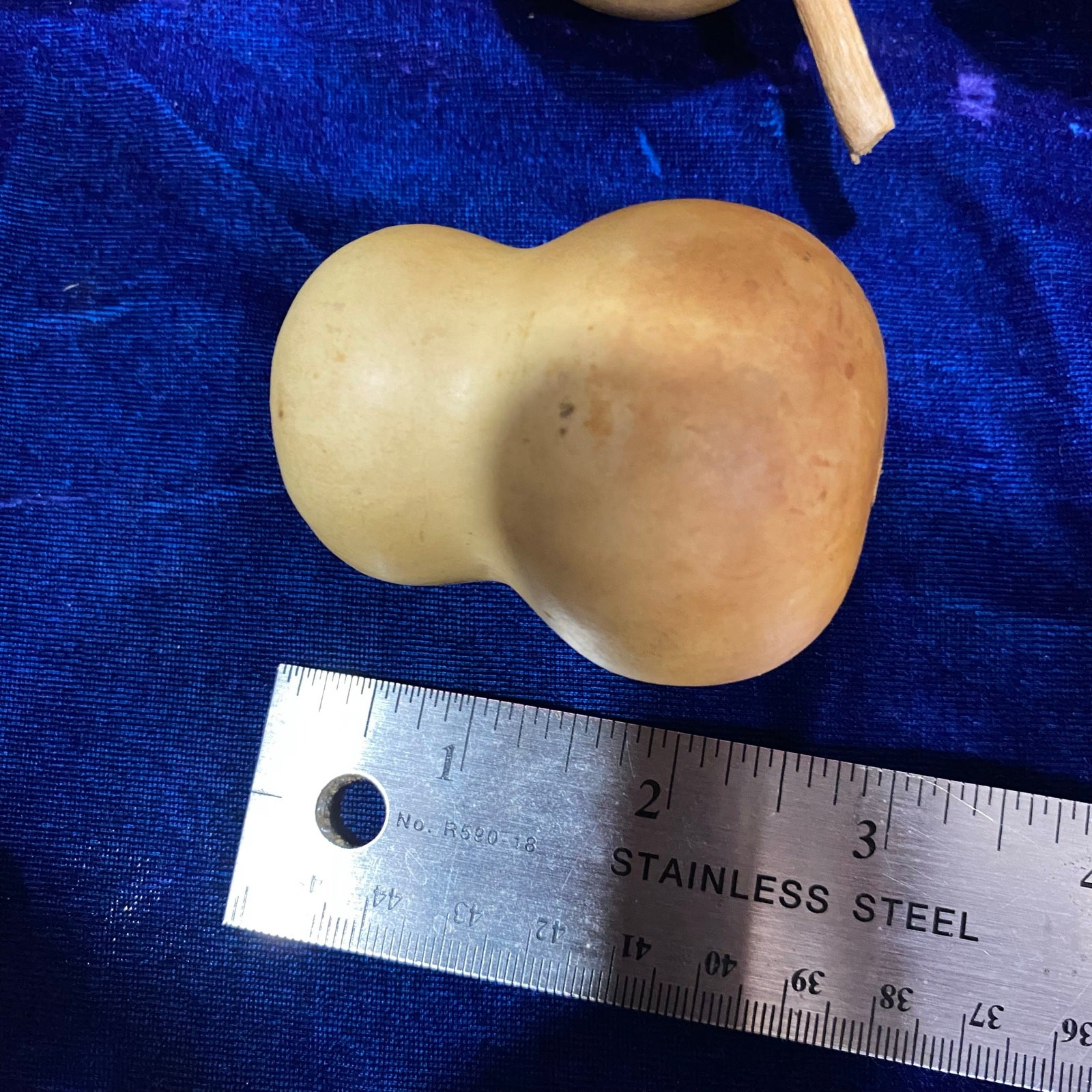 Lot of FIVE (5) Gourds Small Size Pear Shaped Round Dried Natural Color Clean