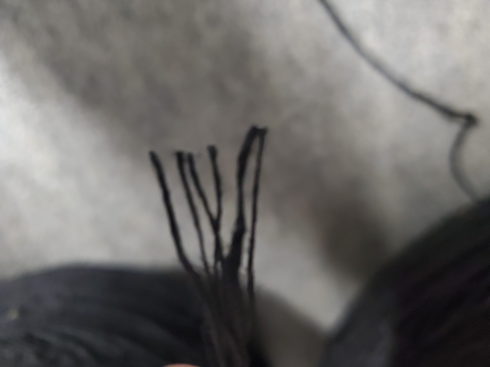 100% HEMP Yarn Dyed Black Cone 6-Ply Varies ± 2lb