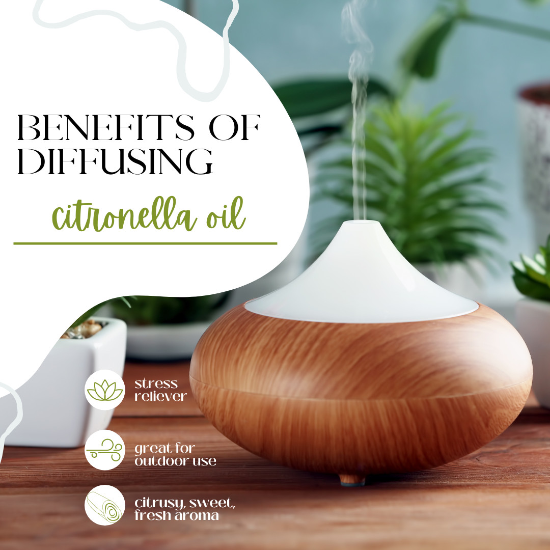 Bulk 16 fl oz Citronella Essential Oil (100% Pure & Natural) in Aluminum Bottle
