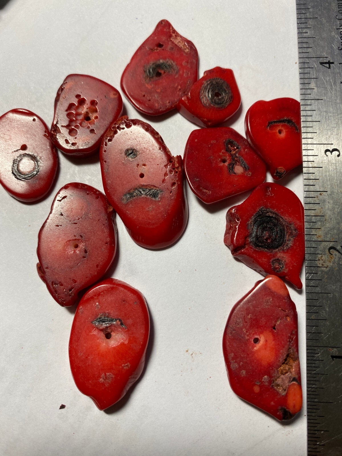 Bamboo Coral Beads 4mm to 28mm