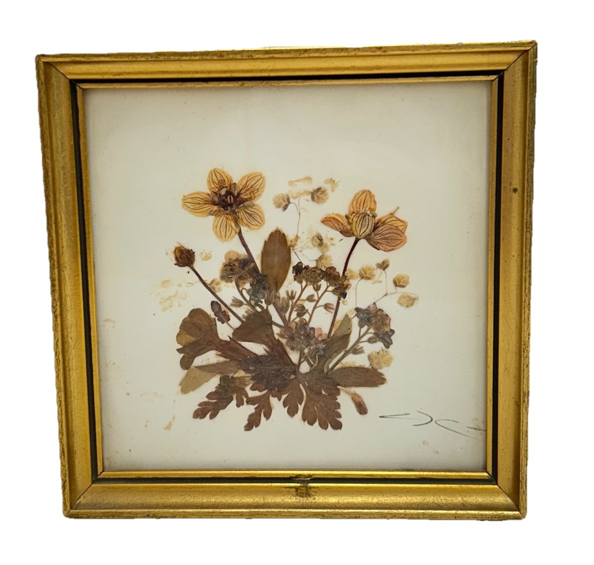 Vintage Tirol Austria Pressed Flower Art Framed Mid Century Dried Botanical 5×5