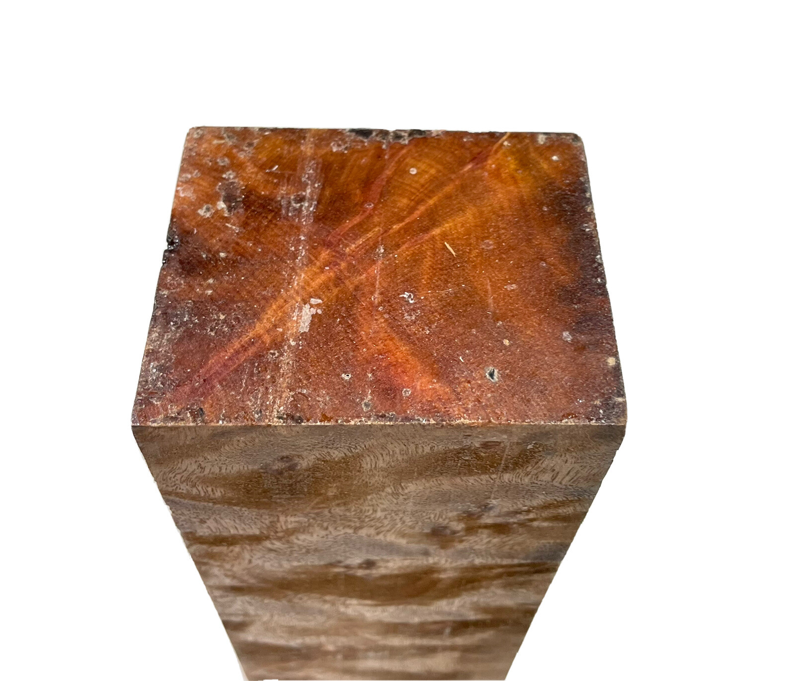 Camphor burl wood block 2-7/8″ x 3-1/2″ x 9-1/8″ (q64) Dried Burl Turning Blank