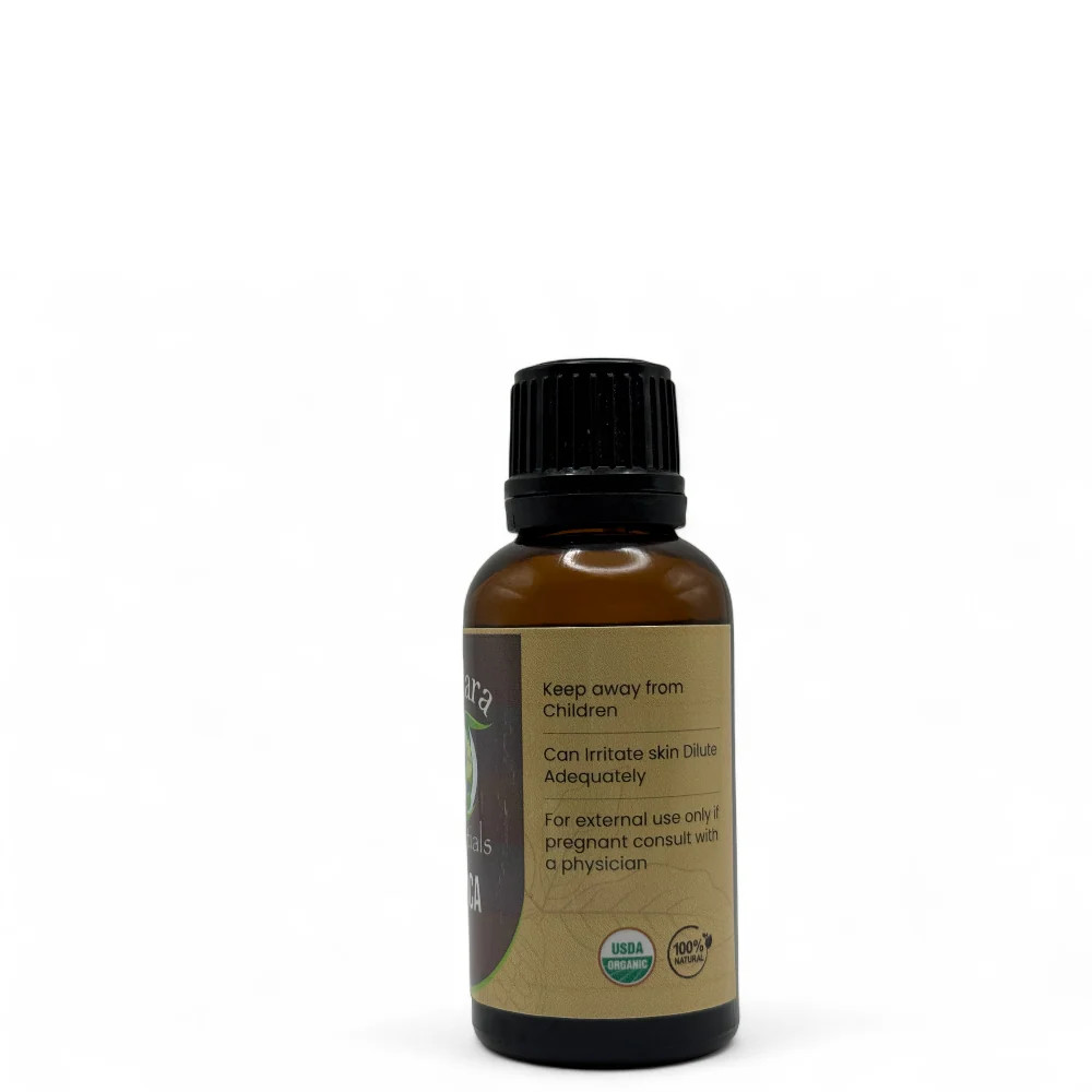 Arnica Herb Essential Oil (Unscented) Organic