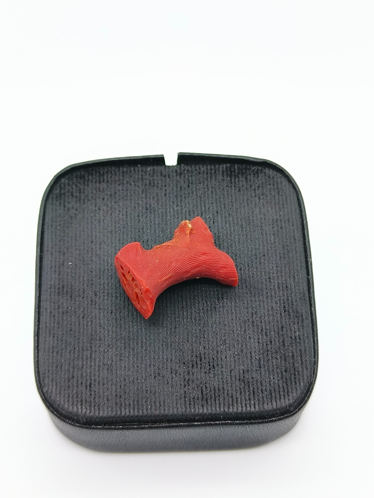 Fine Quality Use Any Way Coral Unpolished Rough-Natural Coral Rough Unpolished