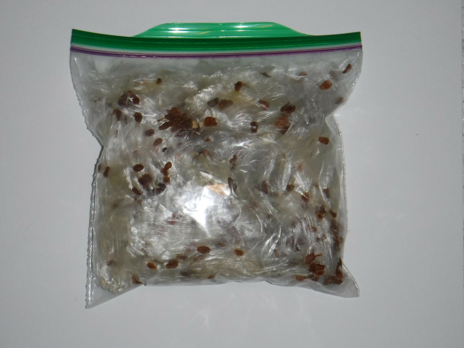 1/2+ oz Bag Milkweed Seed Fluff Floss Wind Checker Arts Crafts Fire Starters