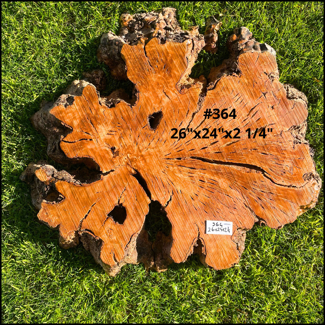 Olive Wood Live Edge Cookies for Resin, Crafting, Wood Art, Tables, Clocks