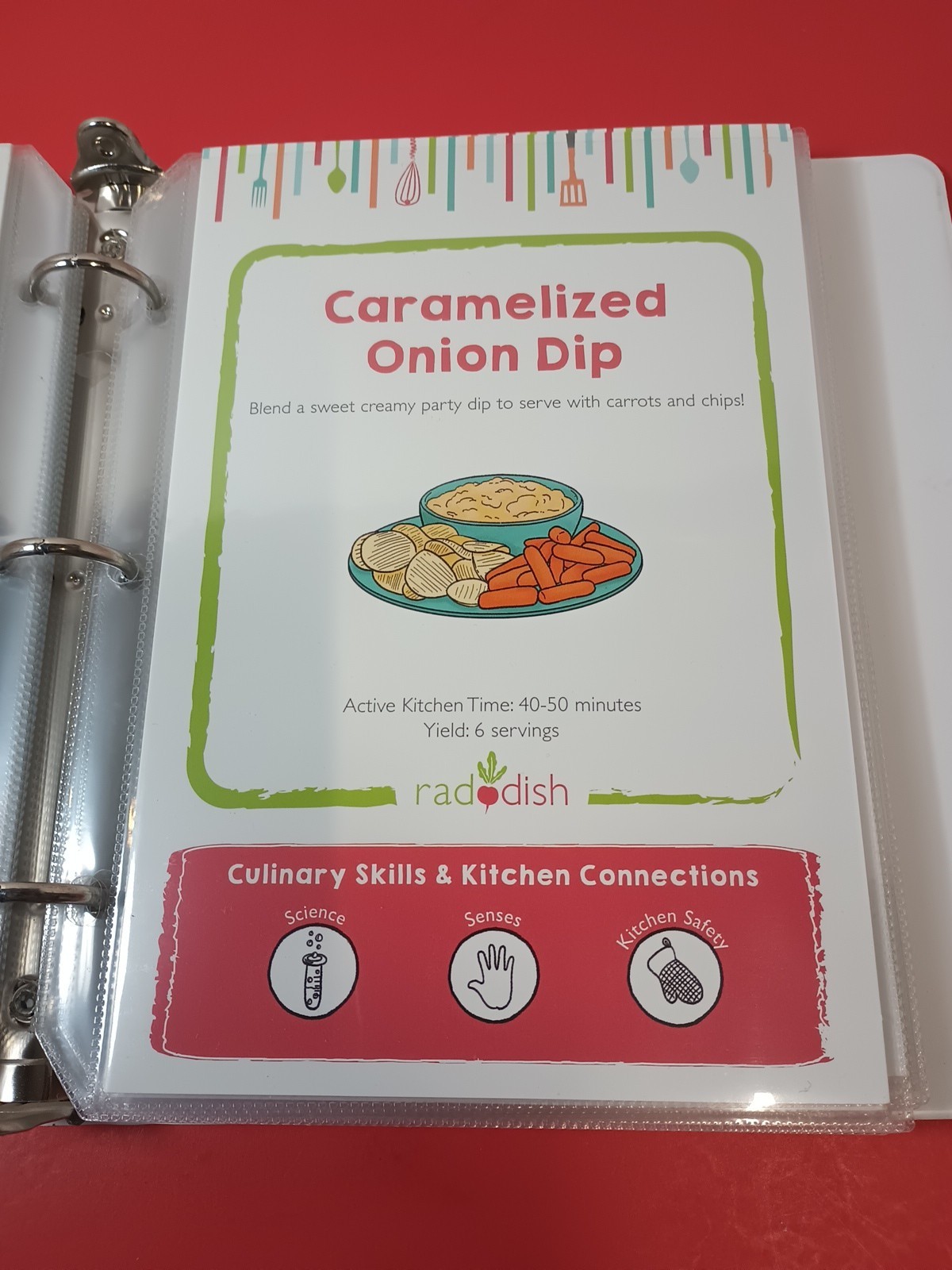 Lot Of 18 RADDISH KIDS Cooking Recipe Cards, INSTRUCTIONS, TRI-FOLD +12 Cards