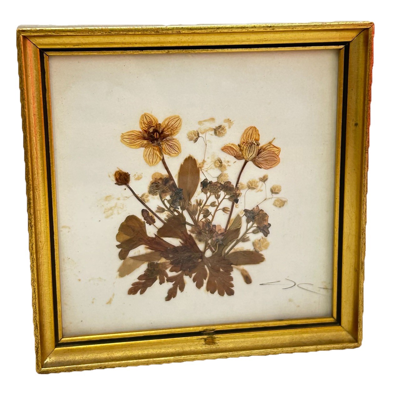 Vintage Tirol Austria Pressed Flower Art Framed Mid Century Dried Botanical 5×5