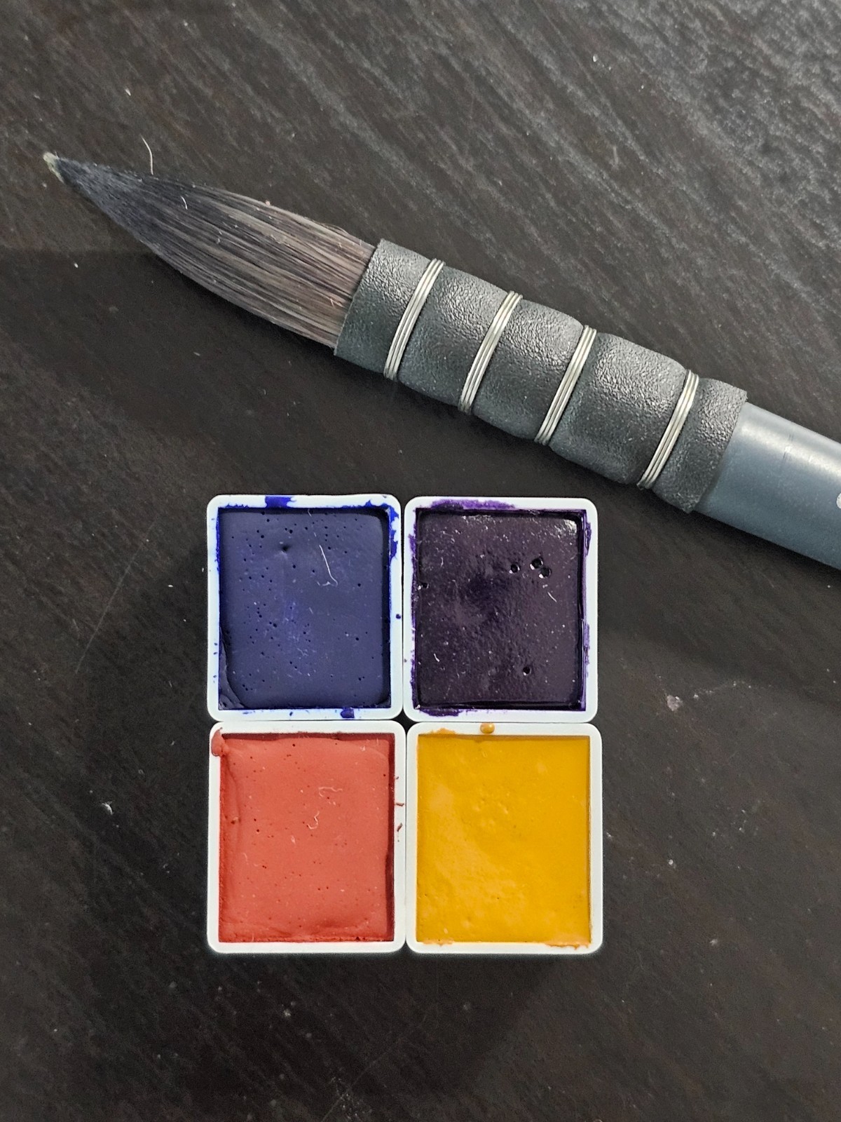 Studio Core | Handmade Watercolor Paints | Wild Pigment Co