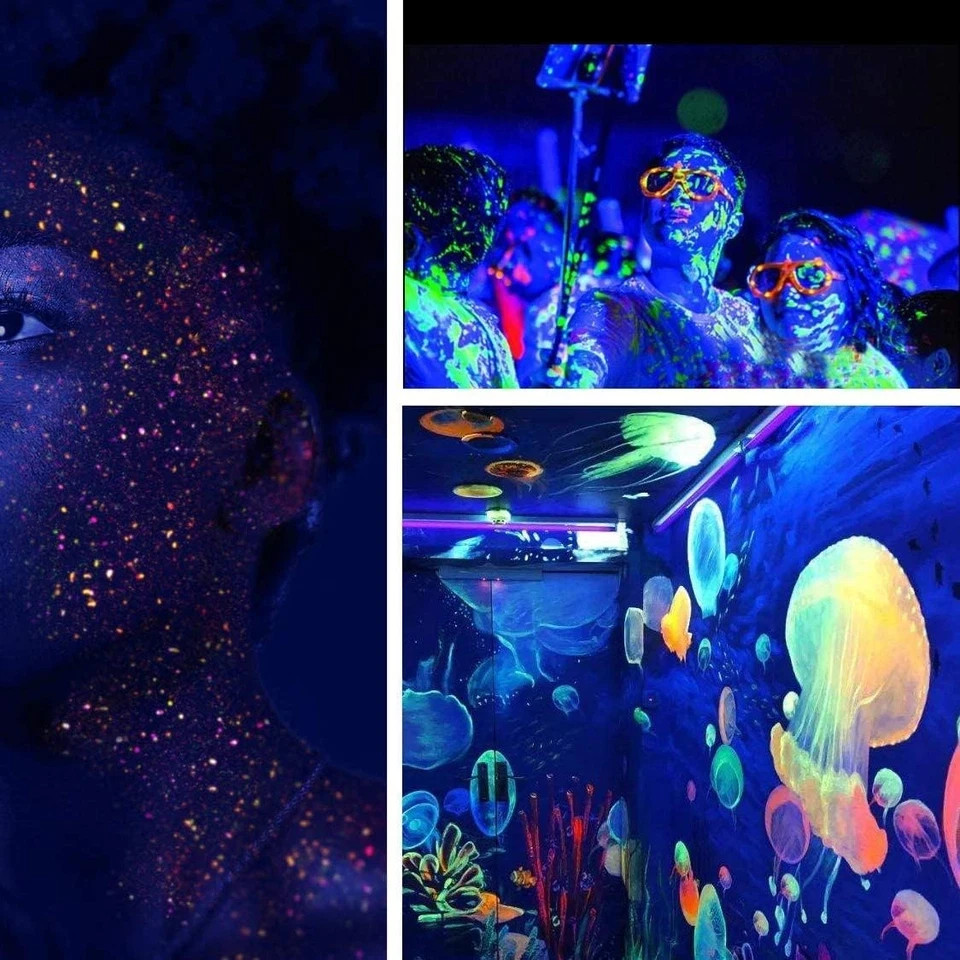 Glow in the Dark Powder 12 Colors Epoxy Resin Dye Luminous Pigment Powder Safe L