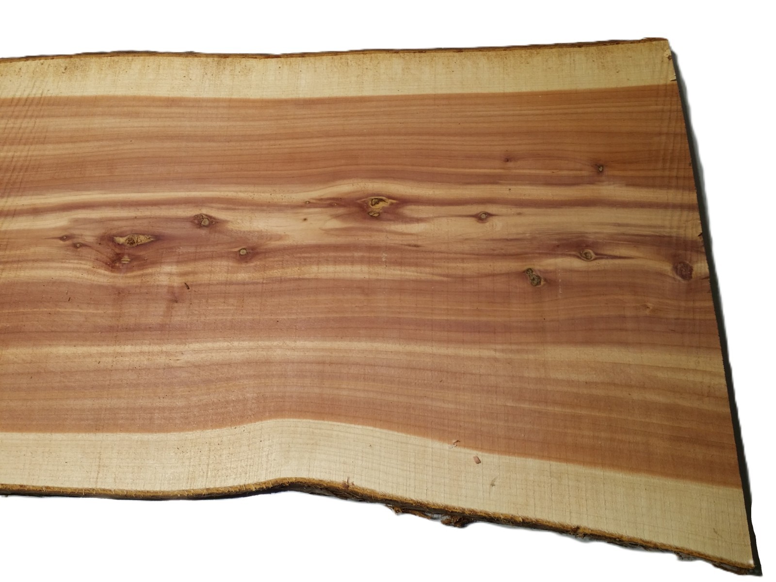 1 LARGE Aromatic Red Cedar Wall Live Edge Slab .75″T x 15-17″W x 49″L SHIPs FREE