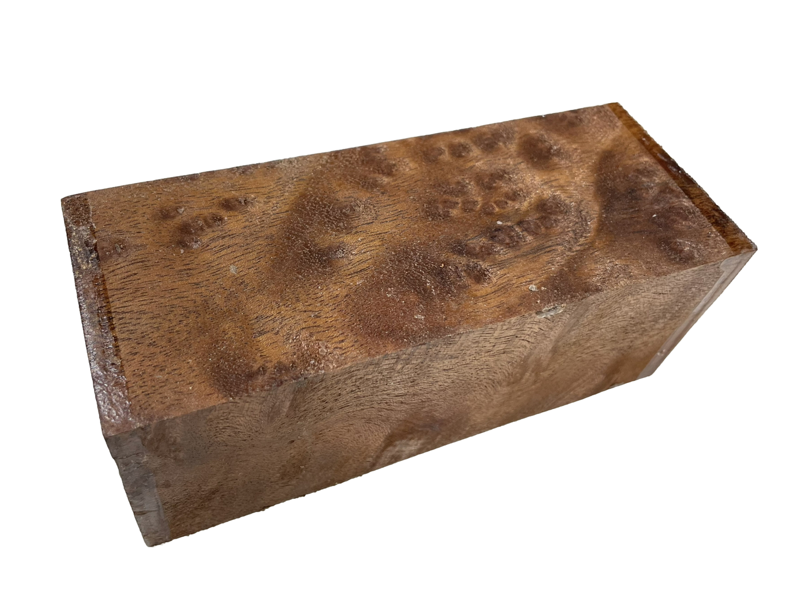Camphor burl wood turning blank 2-7/16″ x 2-7/16″ x 6″ (J56) Dried