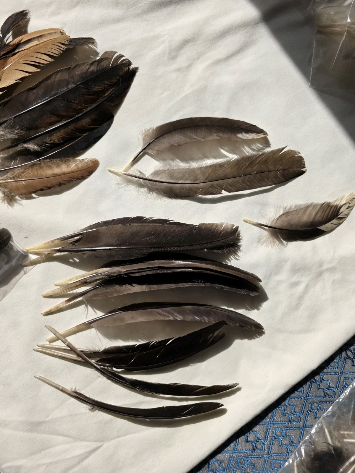 35 Chicken wing Feathers Fly Tying crafts cruelty-free B61