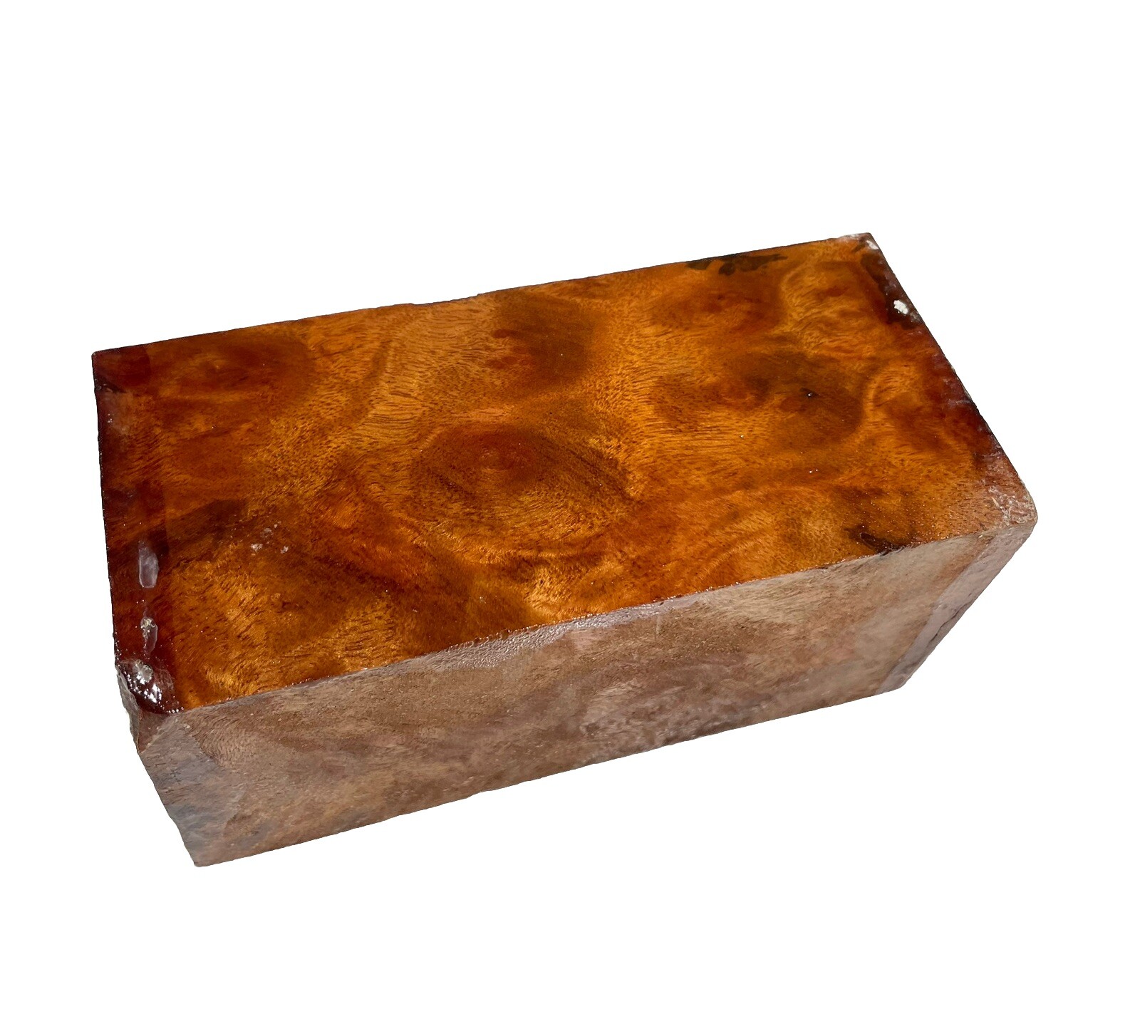 Camphor Burl wood turning blank 2-5/8″ x 2-5/8″ x 5-5/8″ (b33) Dried