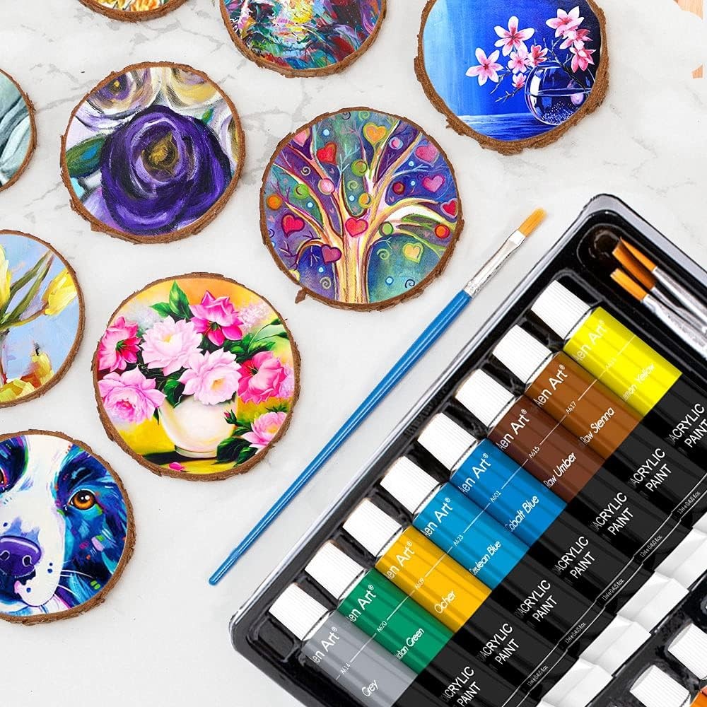 Aen Art Acrylic Paint Set 16 Colors Non-Toxic for Canvas Wood Fabric