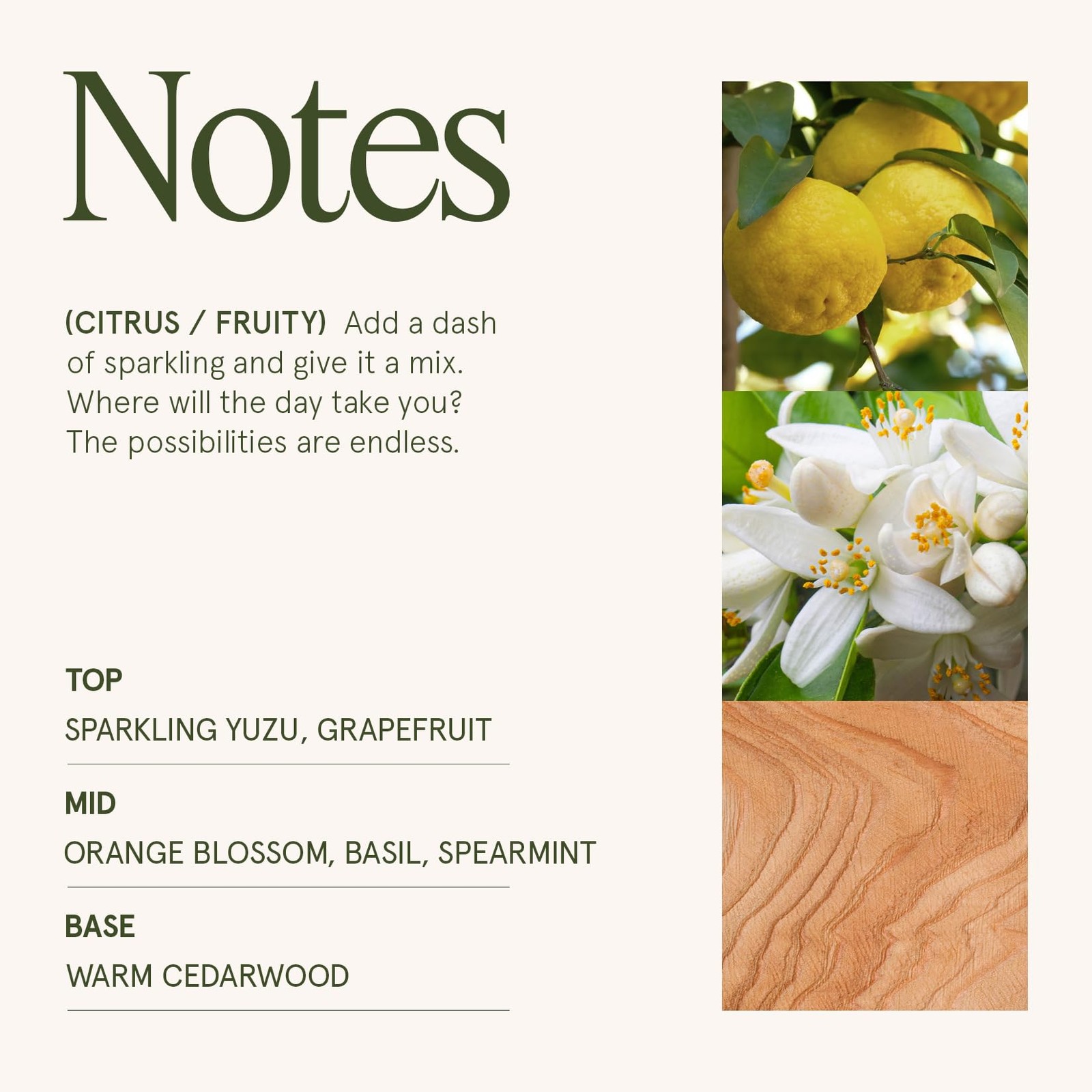 LA JOLIE MUSE Yuzu & Neroli Blossom Candle – Yuzu, &