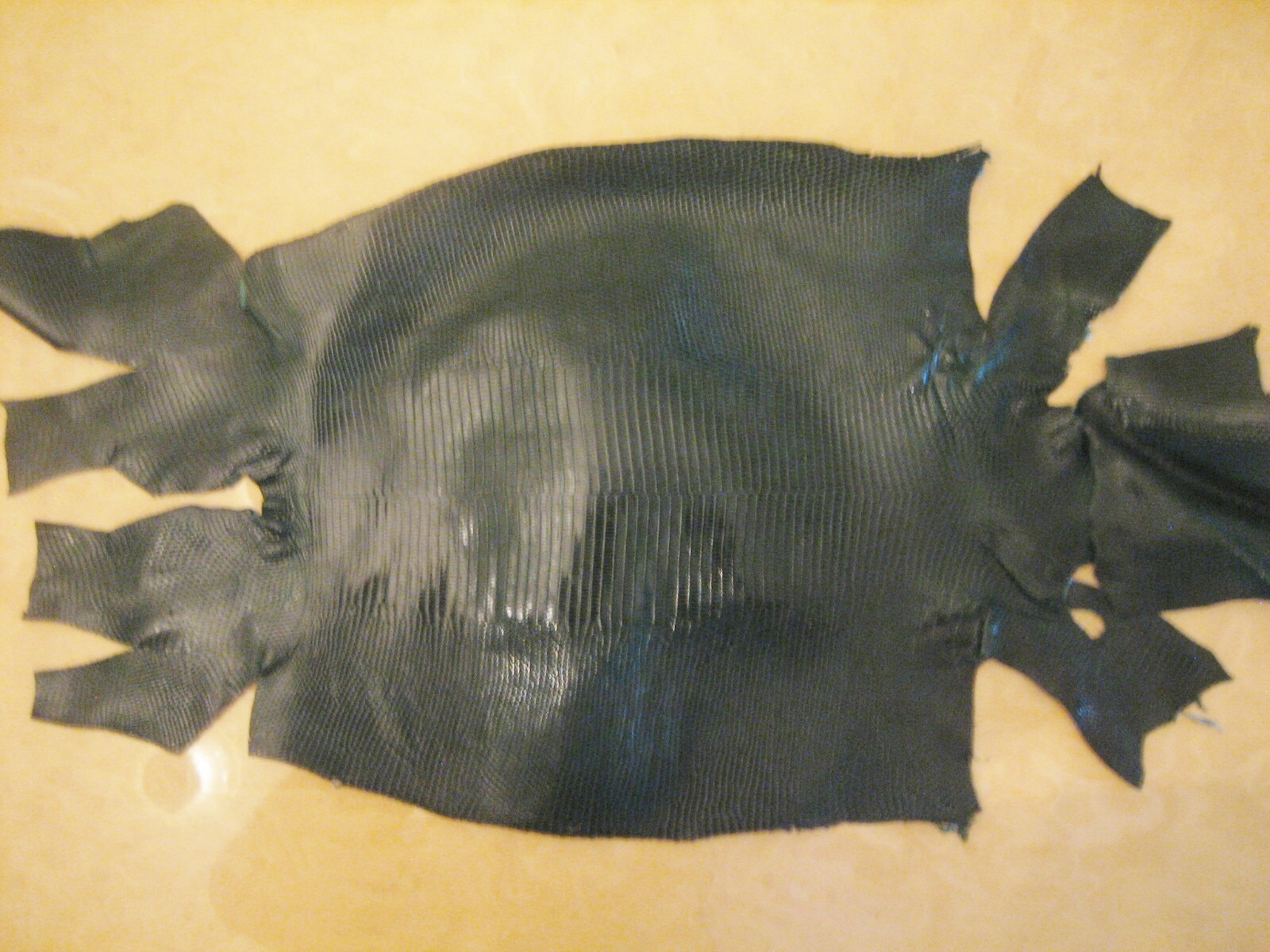 Genuine Lizard Belly Skins grade A, hide Pelt Glossy 7 colors, variety of sizes