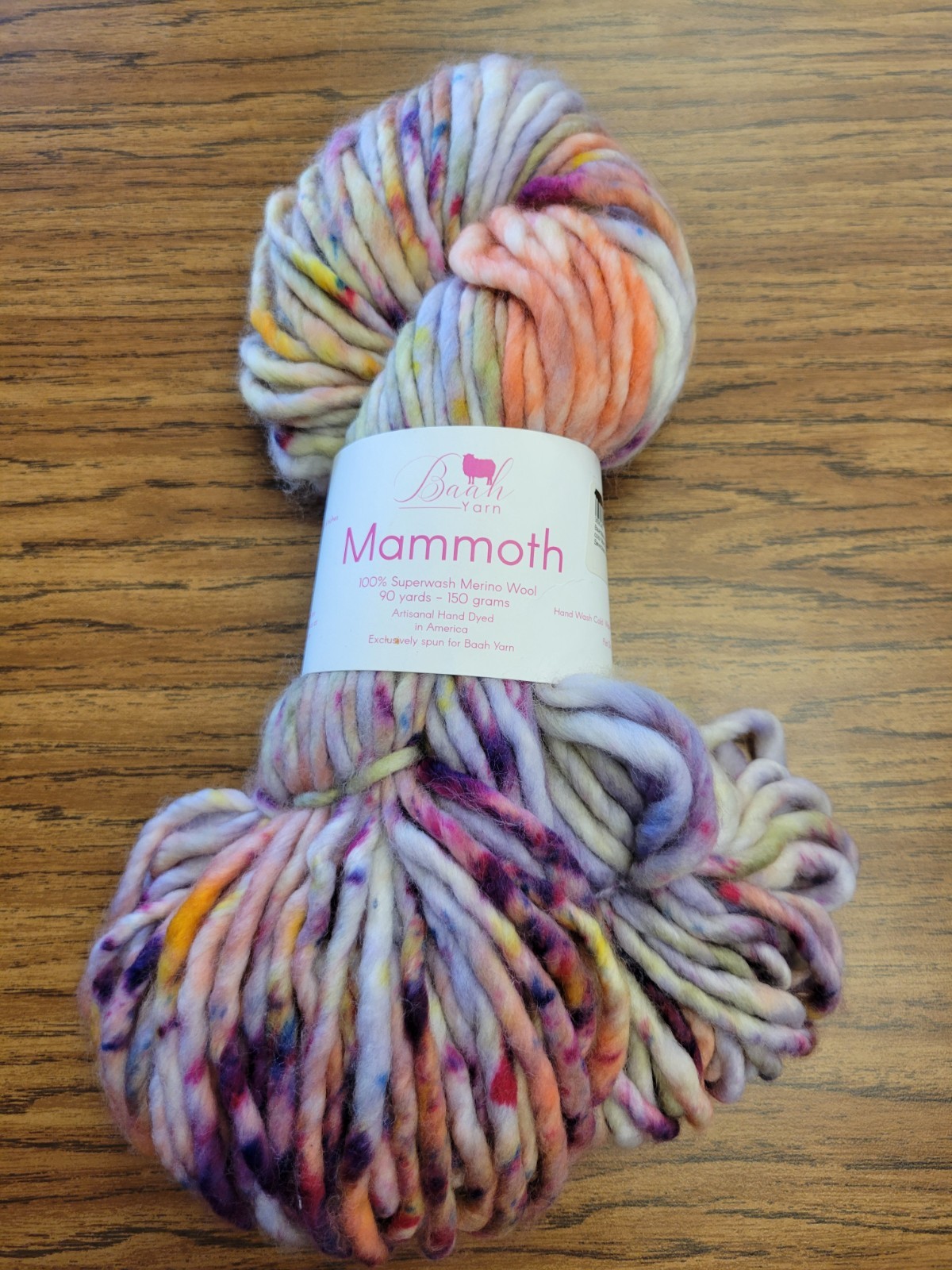 RARE Baah Yarn variegated MAMMOTH Merino wool YOM March 2024 monthly color thick