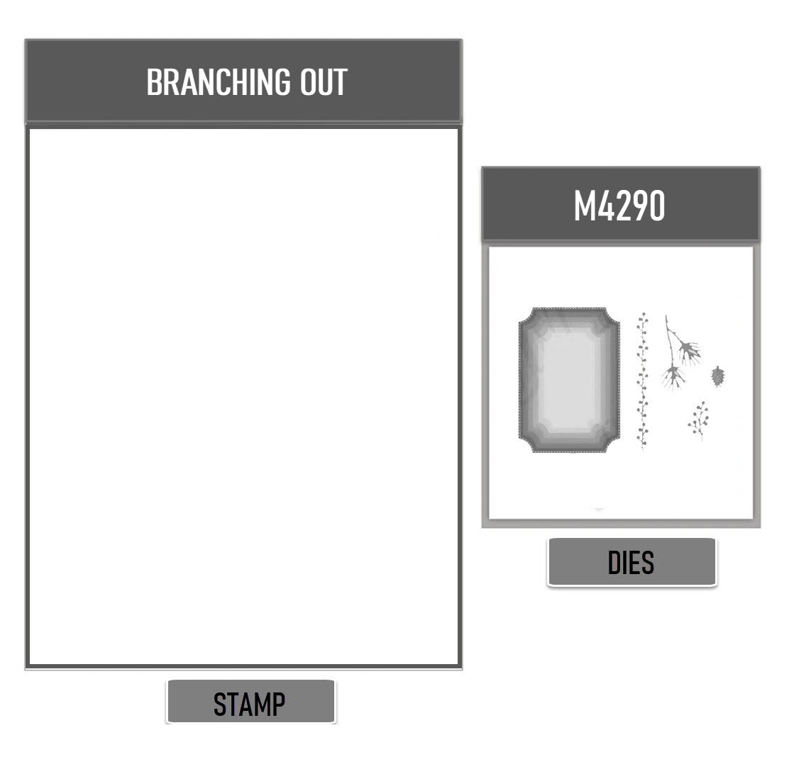 BRANCHING OUT Clear Stamps Set Metal Cutting Dies Scrapbooking DIY Handmade