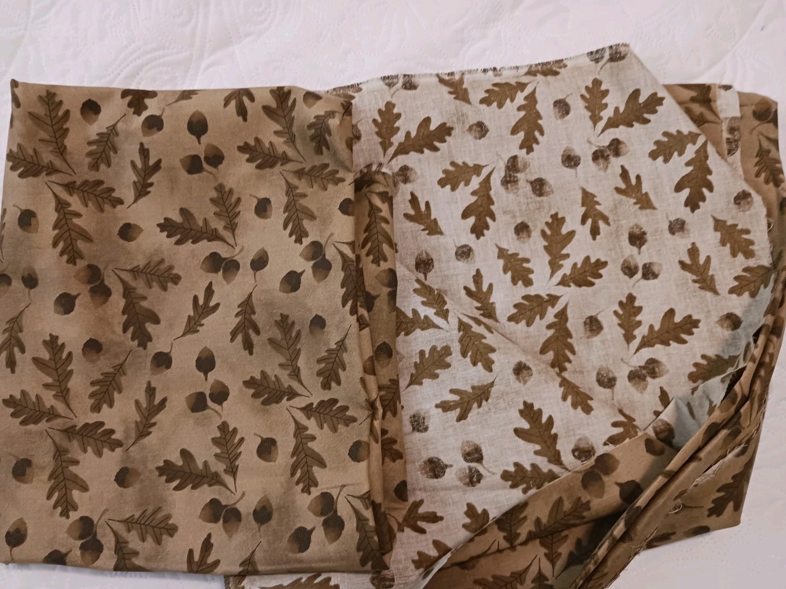 Acorn & Oak Leaf Cotton Fabric Reversible Tan Brown Cream 3 Yds Blank Textiles