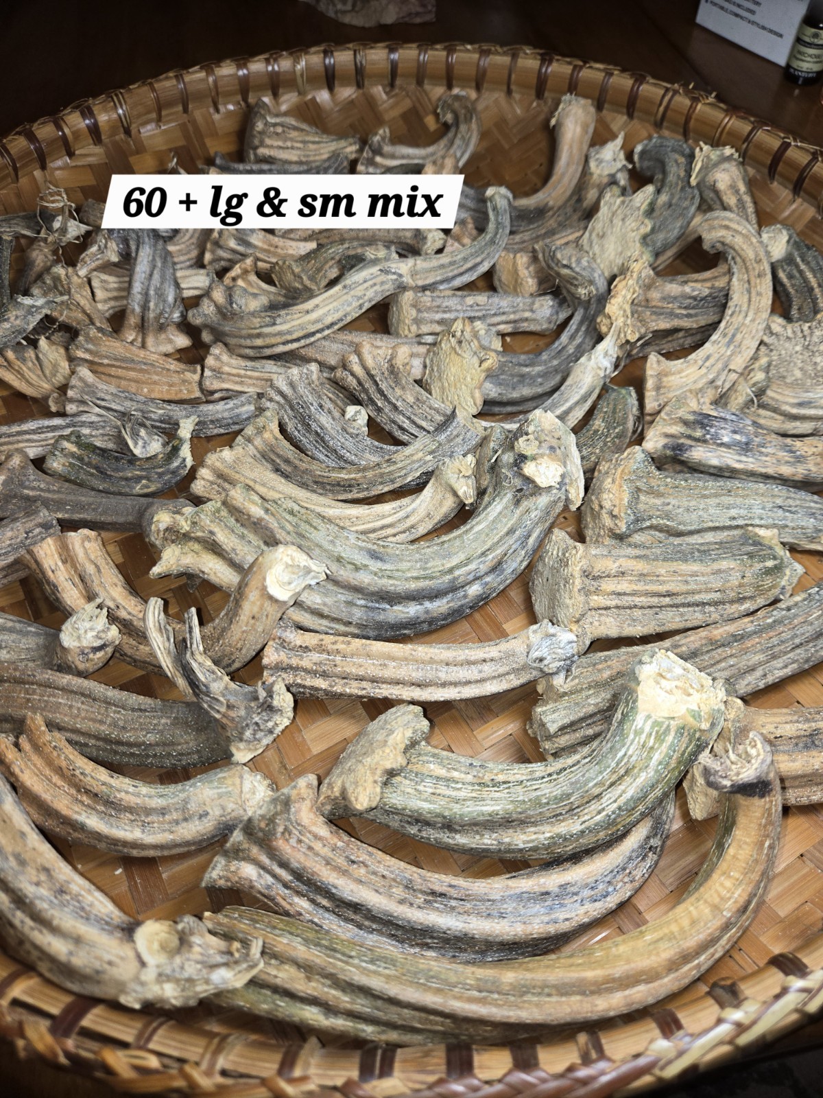 60+Quality Mix Lot Natural Dried Pumpkin Stems – Arts, Crafts, Botanical,Gourds