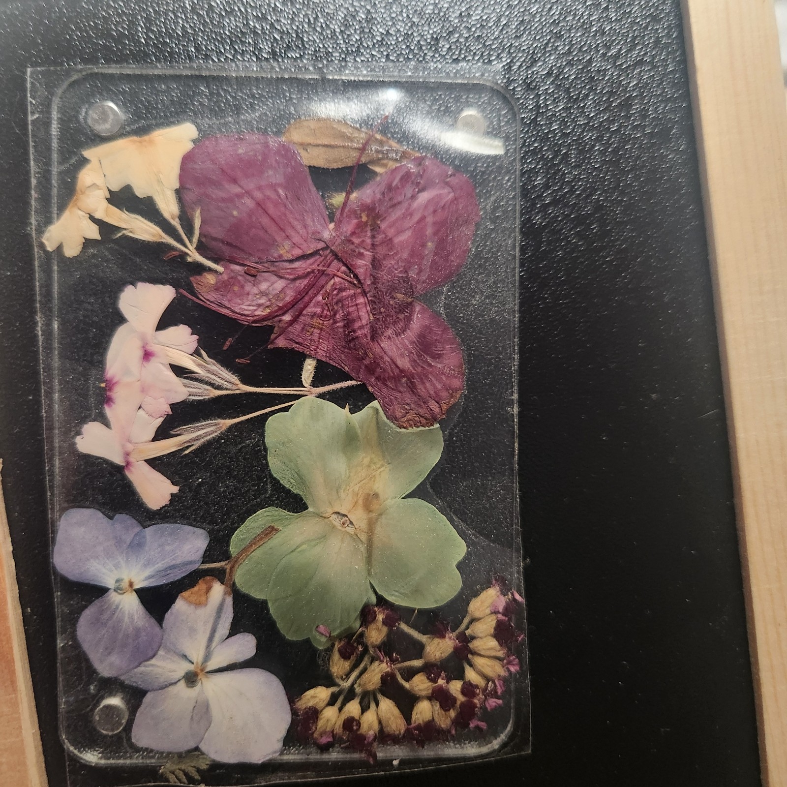 Assorted Pressed Dried Flowers Clear Resin Cards Multiple Plant Parts