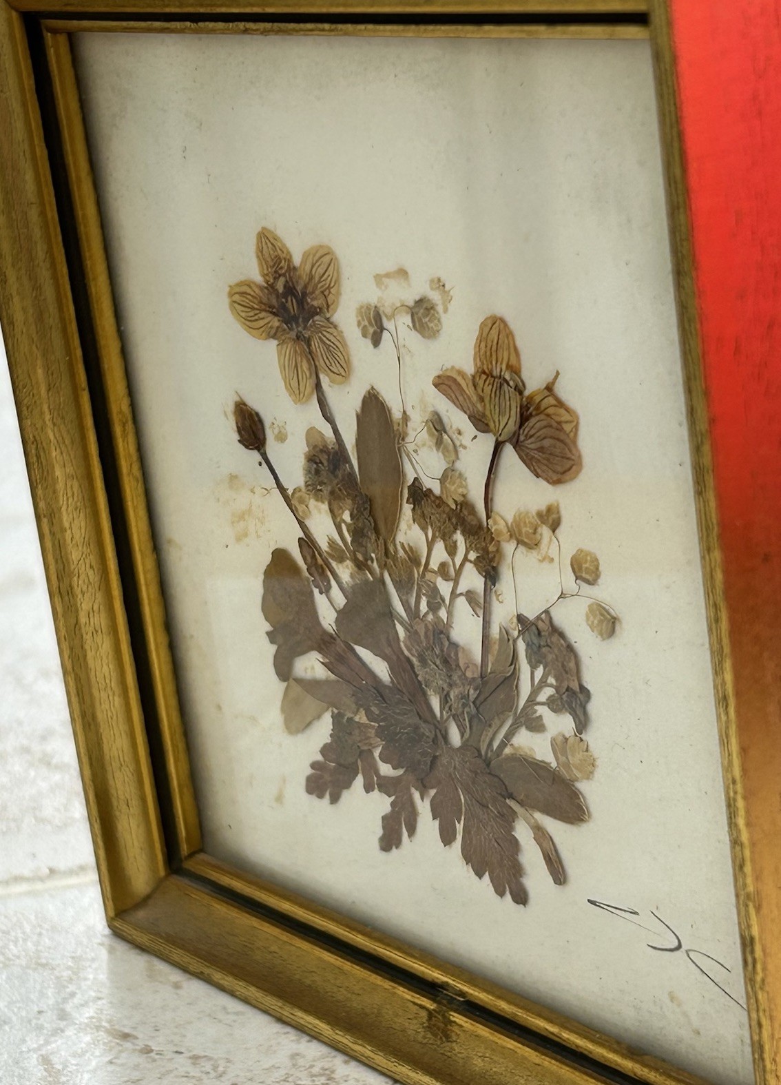 Vintage Tirol Austria Pressed Flower Art Framed Mid Century Dried Botanical 5×5