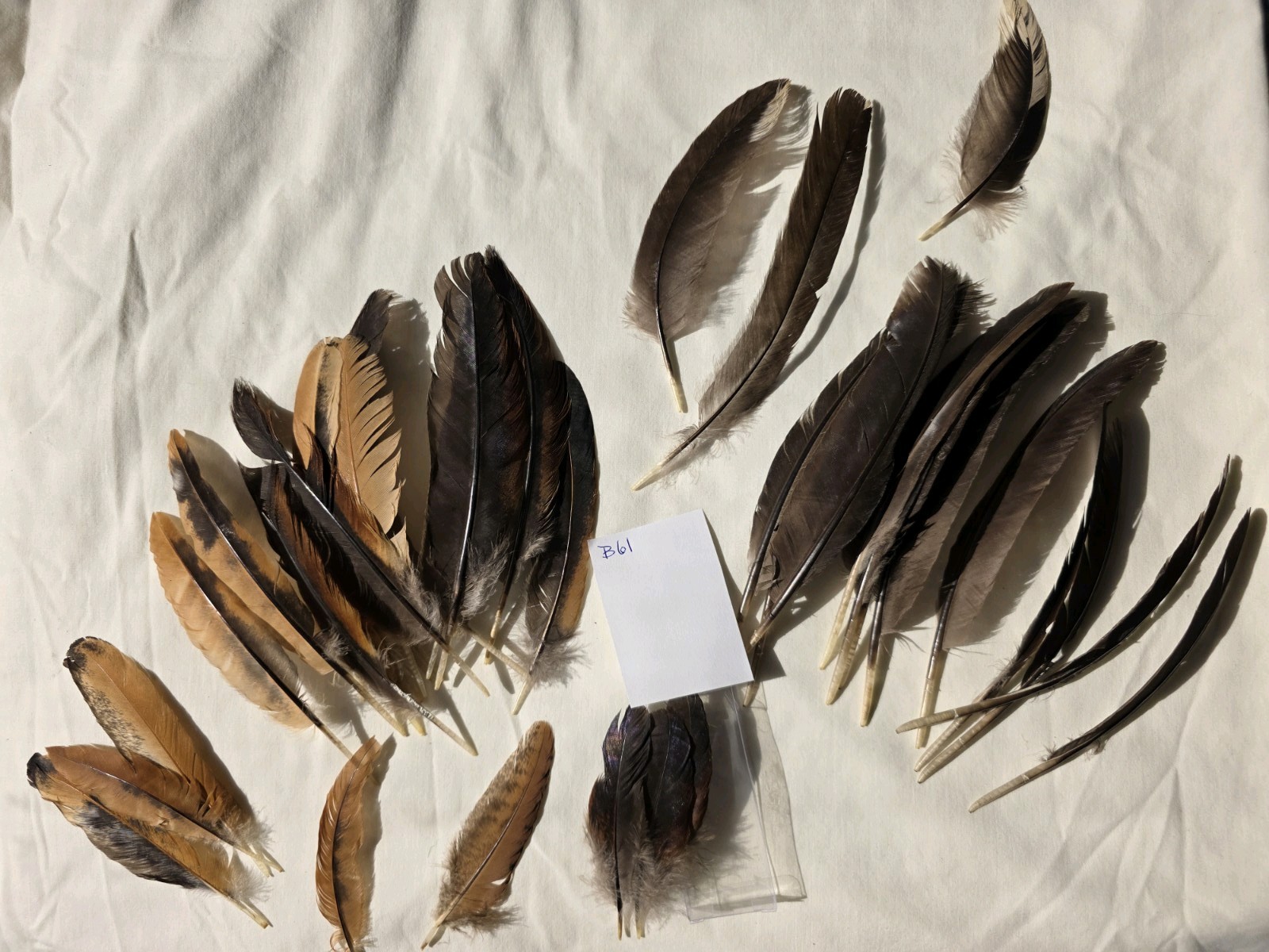 35 Chicken wing Feathers Fly Tying crafts cruelty-free B61