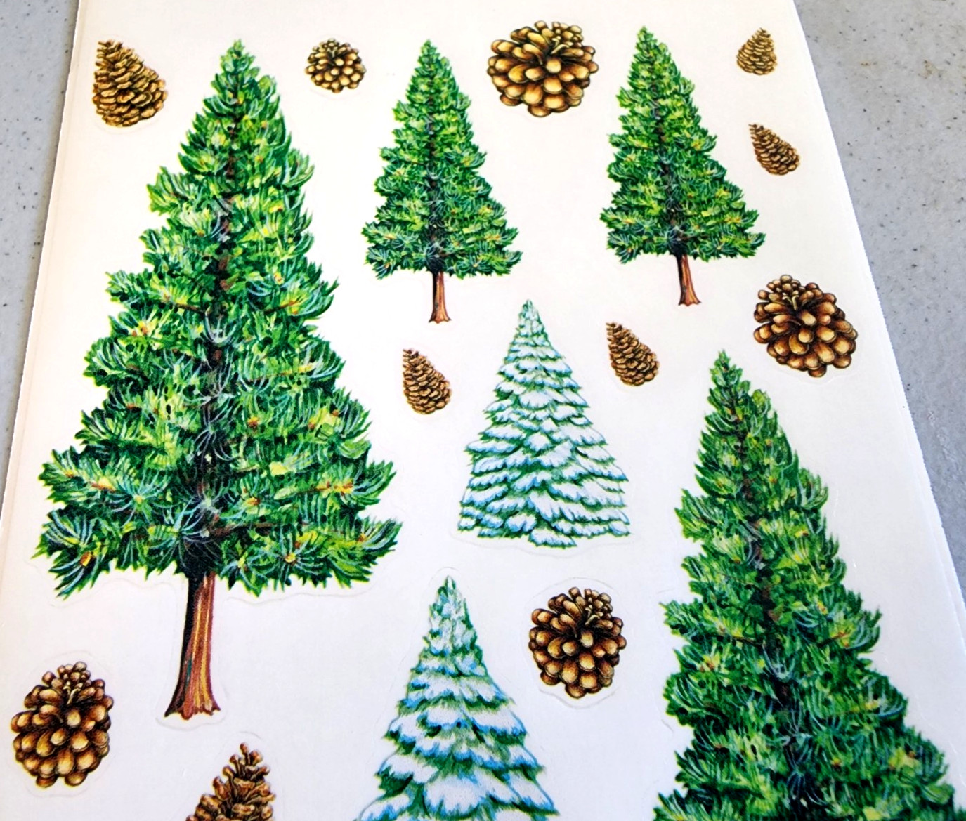 Crafts Etc 2004 Christmas Pine Trees Firs Clear Stickers 12″ Scrapbooking SXL136