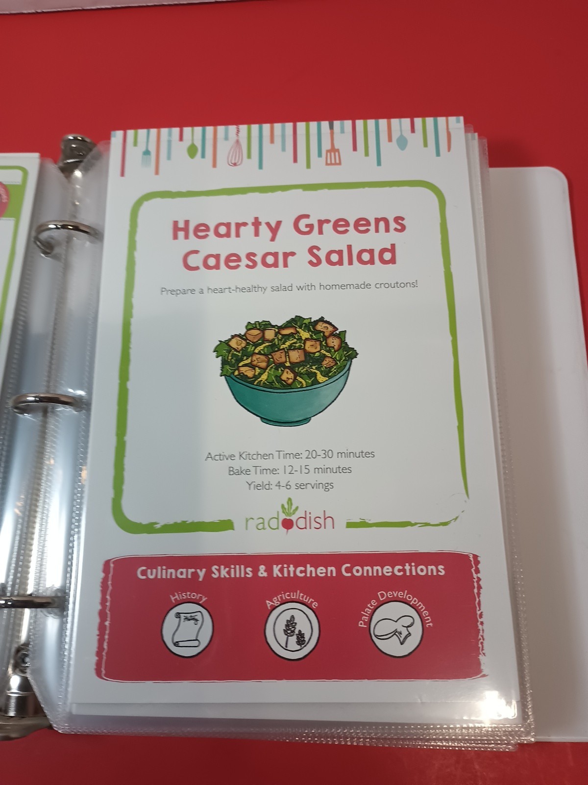 Lot Of 18 RADDISH KIDS Cooking Recipe Cards, INSTRUCTIONS, TRI-FOLD +12 Cards