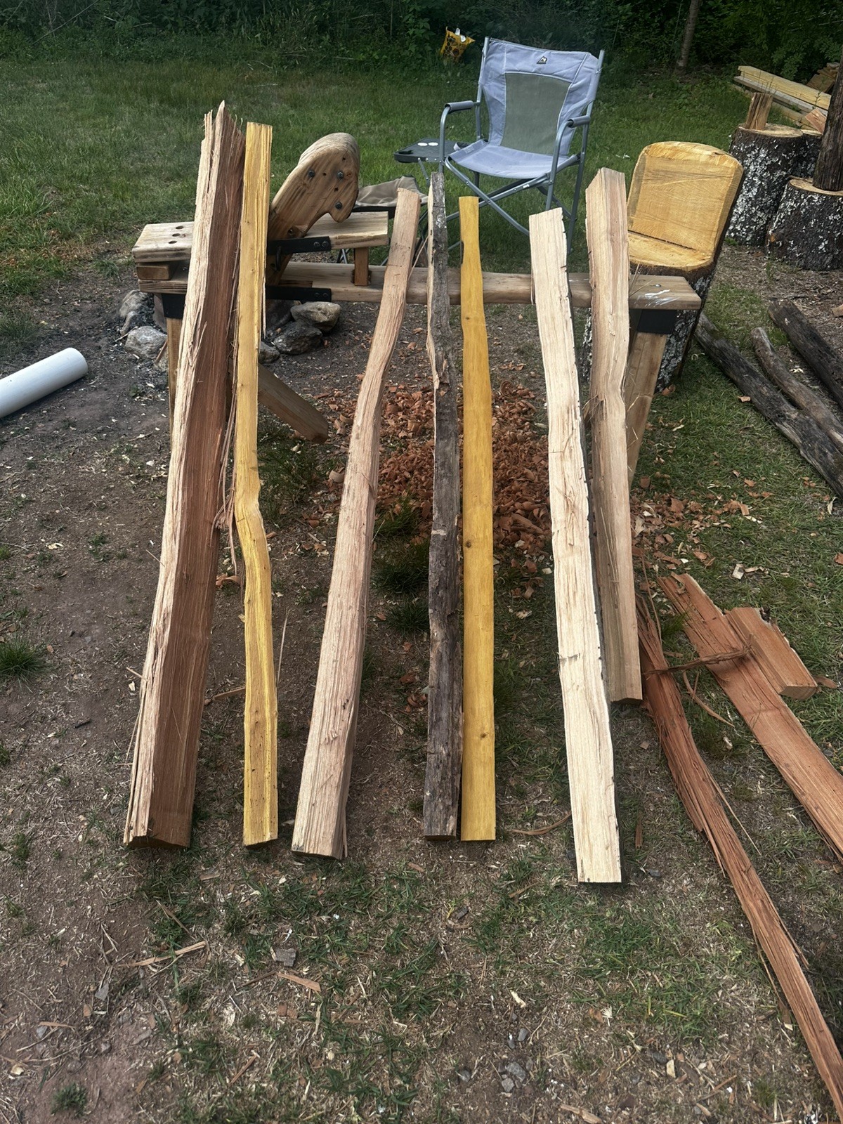 Premium Grade, Aged And Cured Black Locust Bow Staves