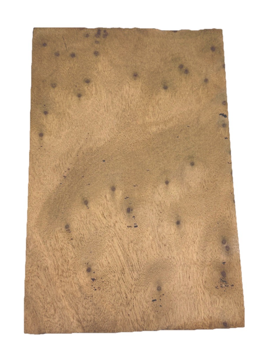 Camphor Burl Block / blank 8-3/8” x 5-1/2” x 2-7/8” (z47) air-dried