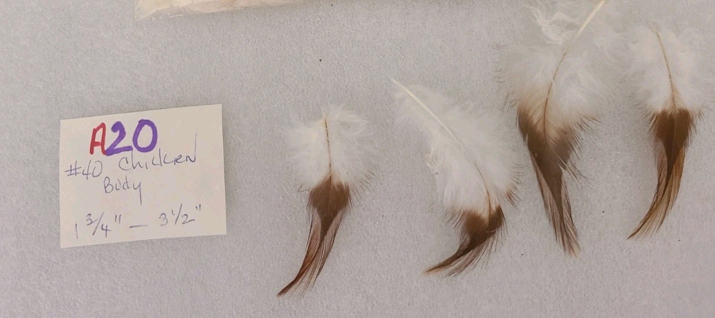 40 Rooster Hackle Feathers cruelty-free fly fishing A20