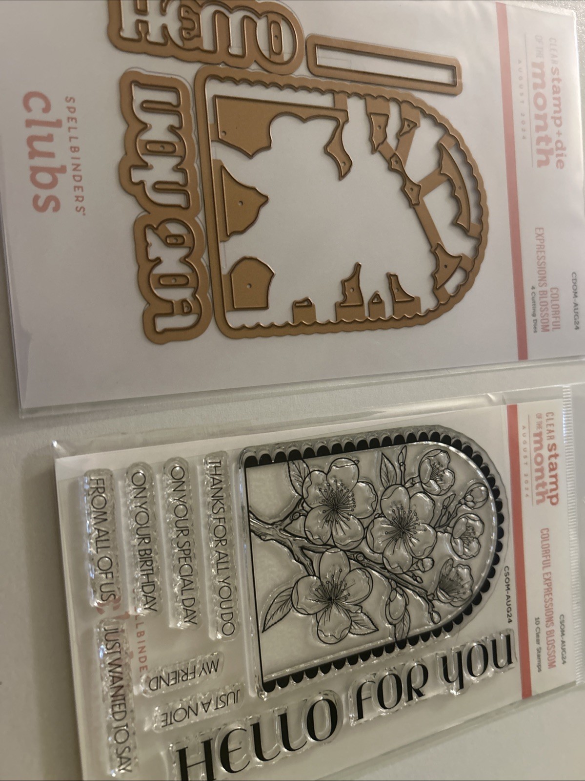NEW Spellbinders Clear Stamps & Die of the Month Aug 2024 COLORFUL EXPRESSIONS