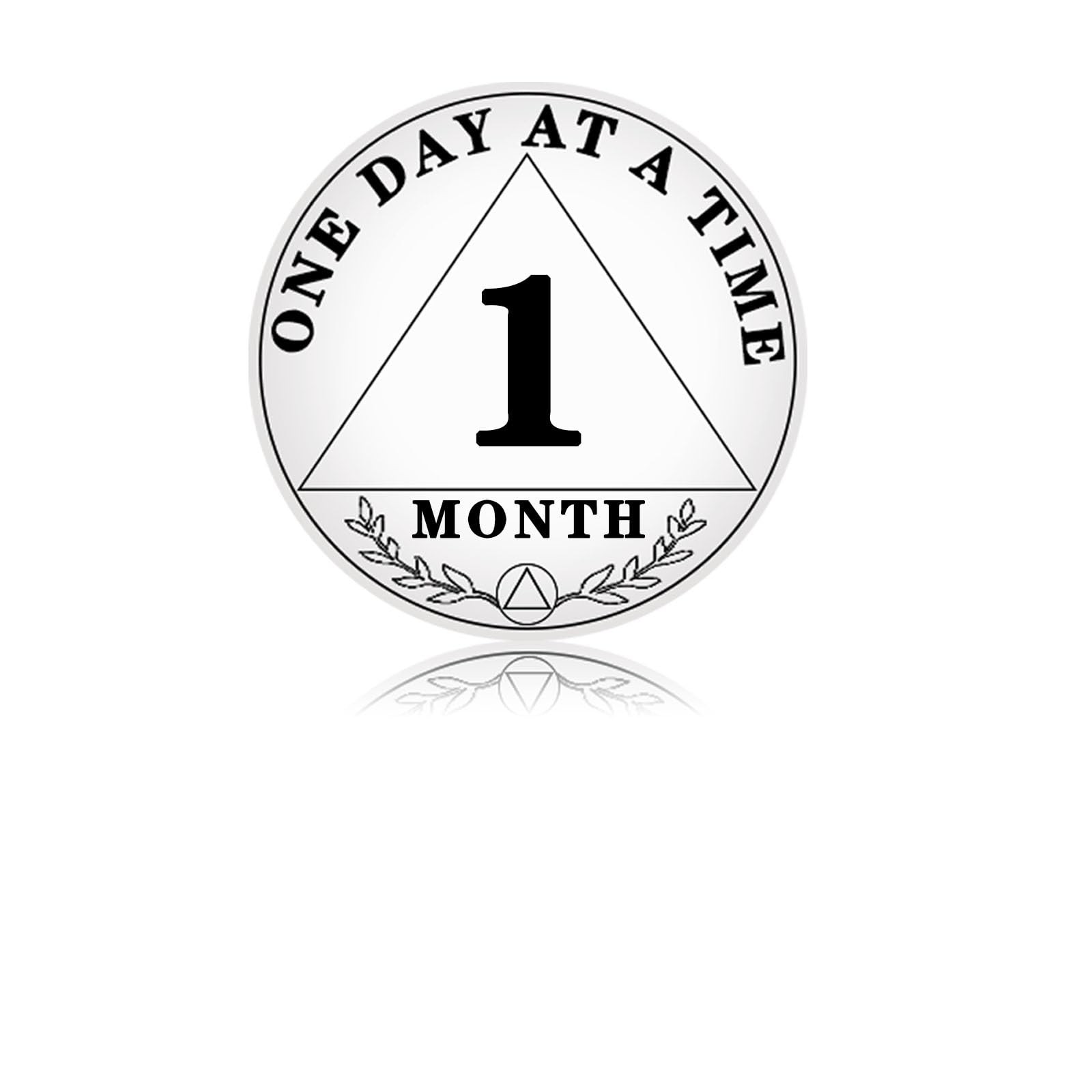 1 Month Sobriety Chip, 30 Days Coin One Day at A Time AA Chips and…