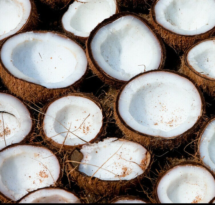 Coconut Fragrance Oil