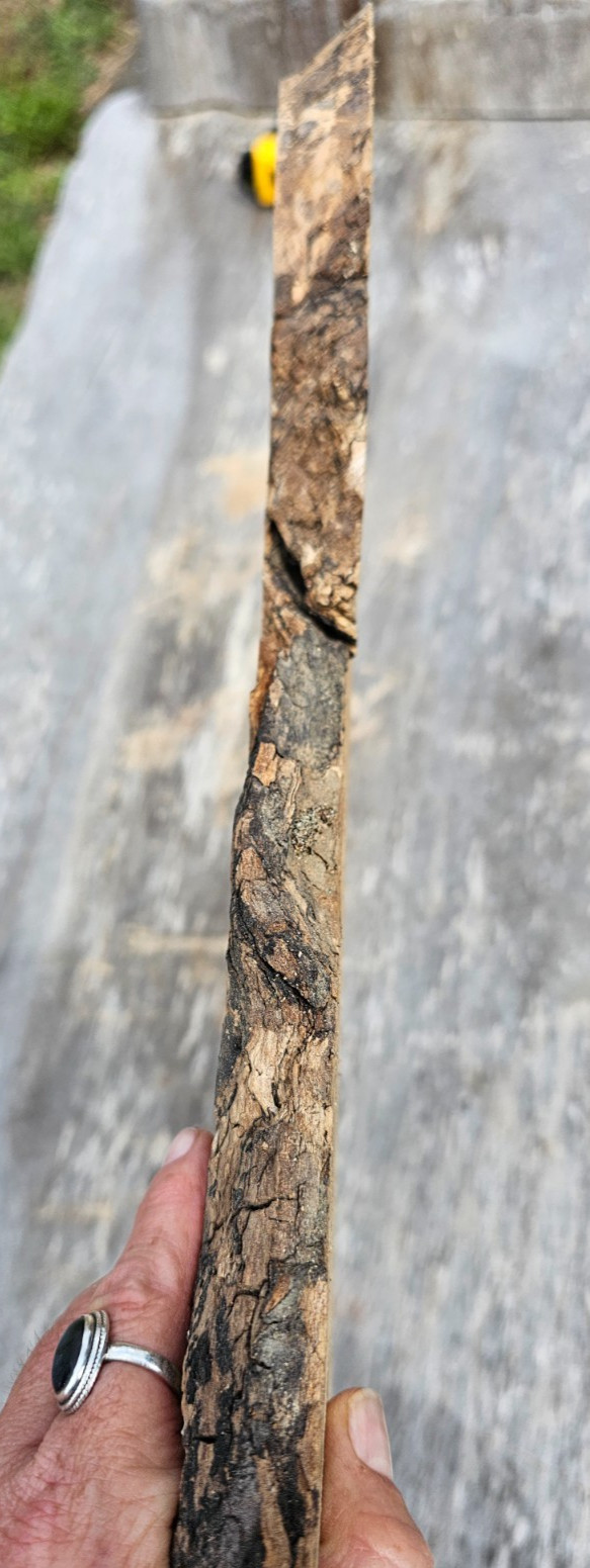 Natural Edge Ink Line Spalted Maple Slab