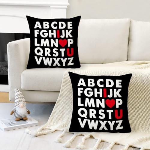 Valentine Pillow Covers 18 x 18 Inch ABC I 18″ x 18″ (Pack of 2) Black White