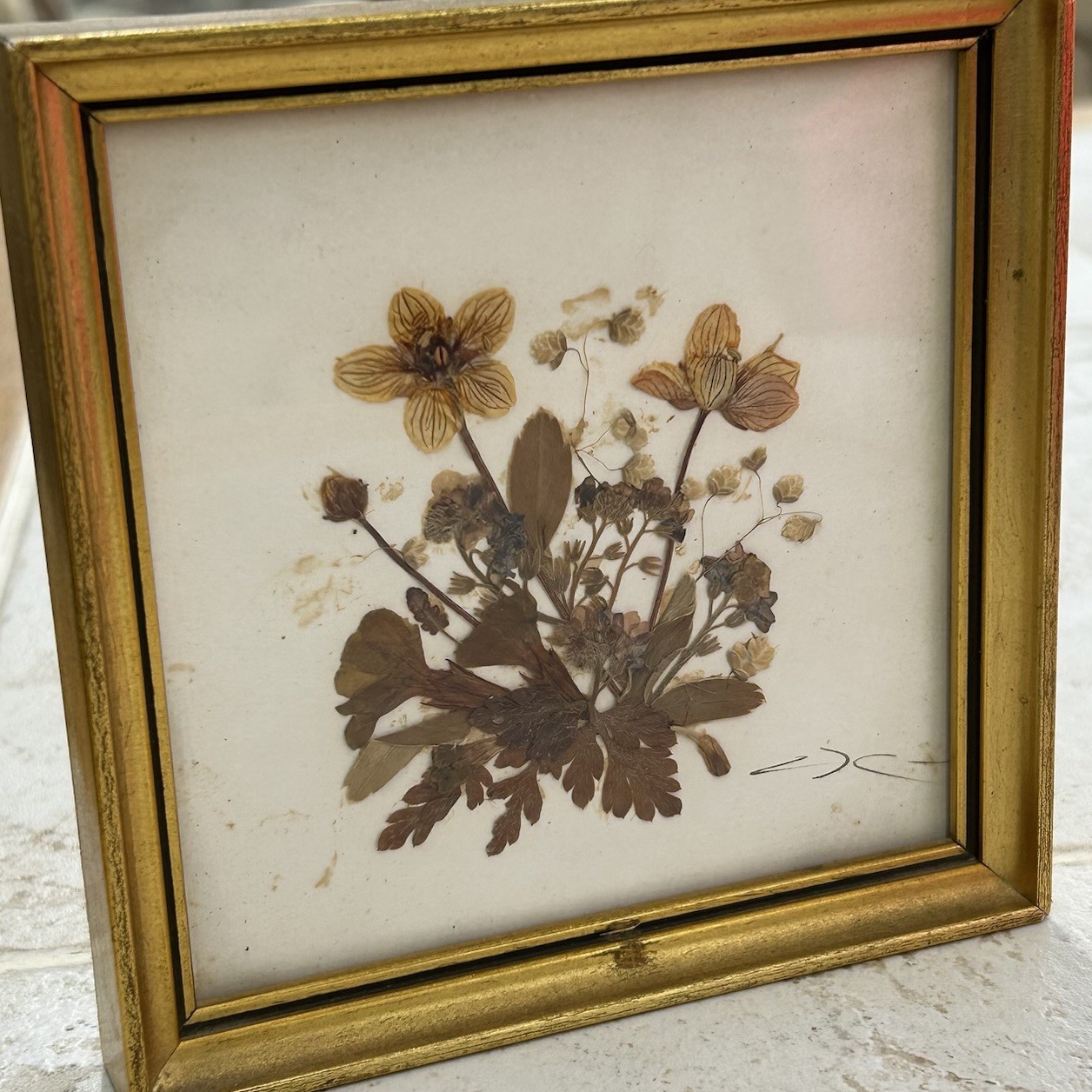Vintage Tirol Austria Pressed Flower Art Framed Mid Century Dried Botanical 5×5