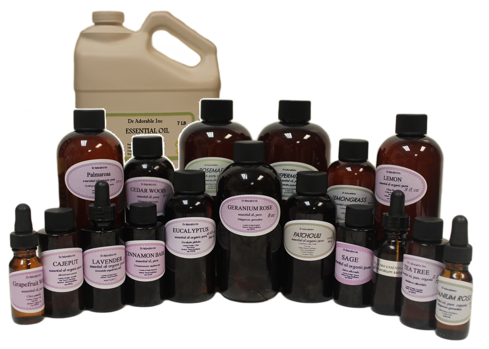 UNCUT PURE ORGANIC CHAMOMILE ESSENTIAL OIL AROMATHERAPY 0.6 OZ UP TO 32 OZ