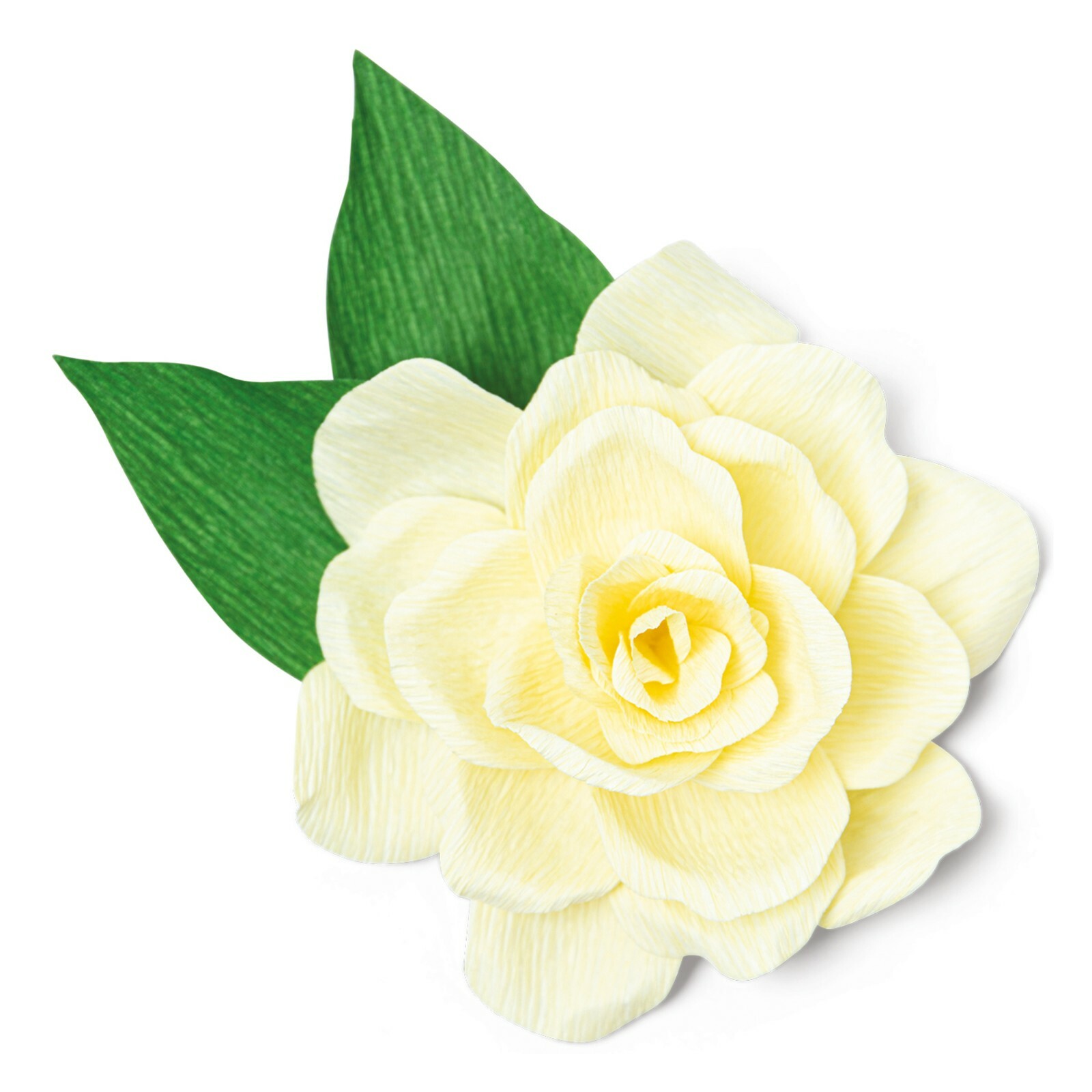 Sizzix Thinlits Gardenia 4pc #665885 Retail $22.99 by Jennifer Ogborn