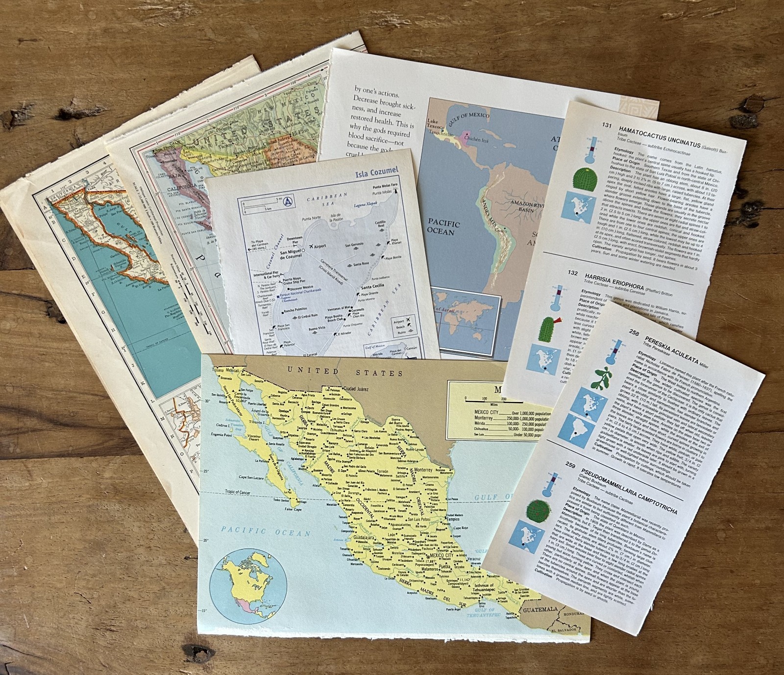 Viaje Mexicano Vintage Paper Pack #2 – 25PGS – Art History & Culture of Mexico
