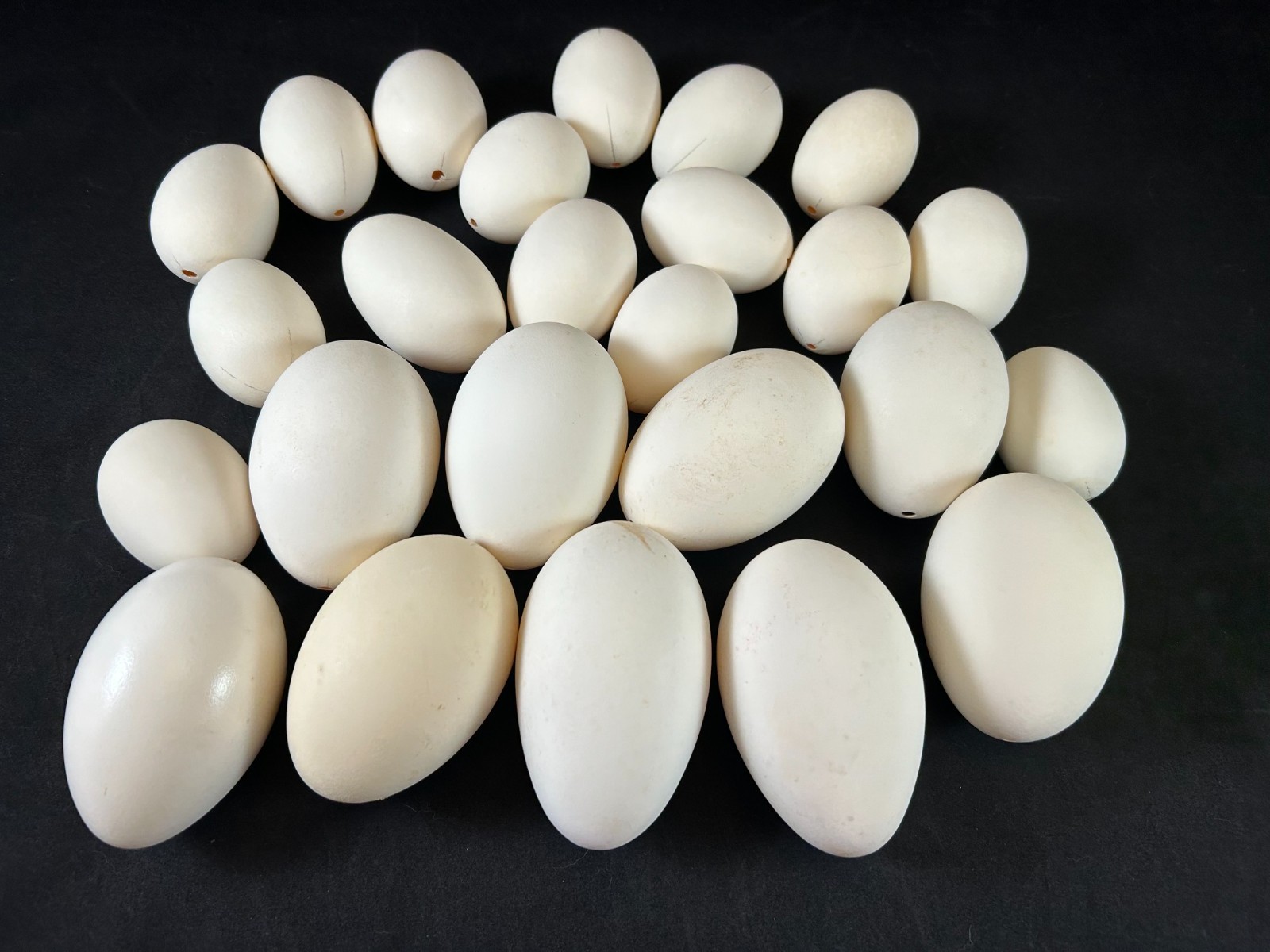 Mixed Lot of 25 Blown Out Goose & Chicken Eggs for Crafts 2.5″ to 4″