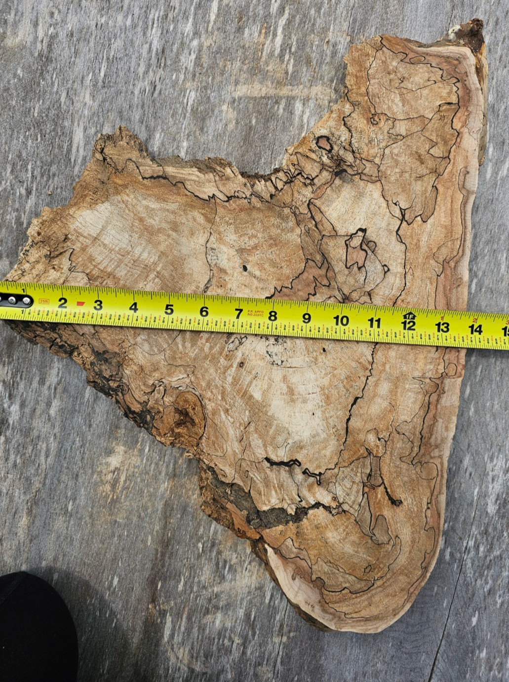 Natural Edge Ink Line Spalted Maple Slab
