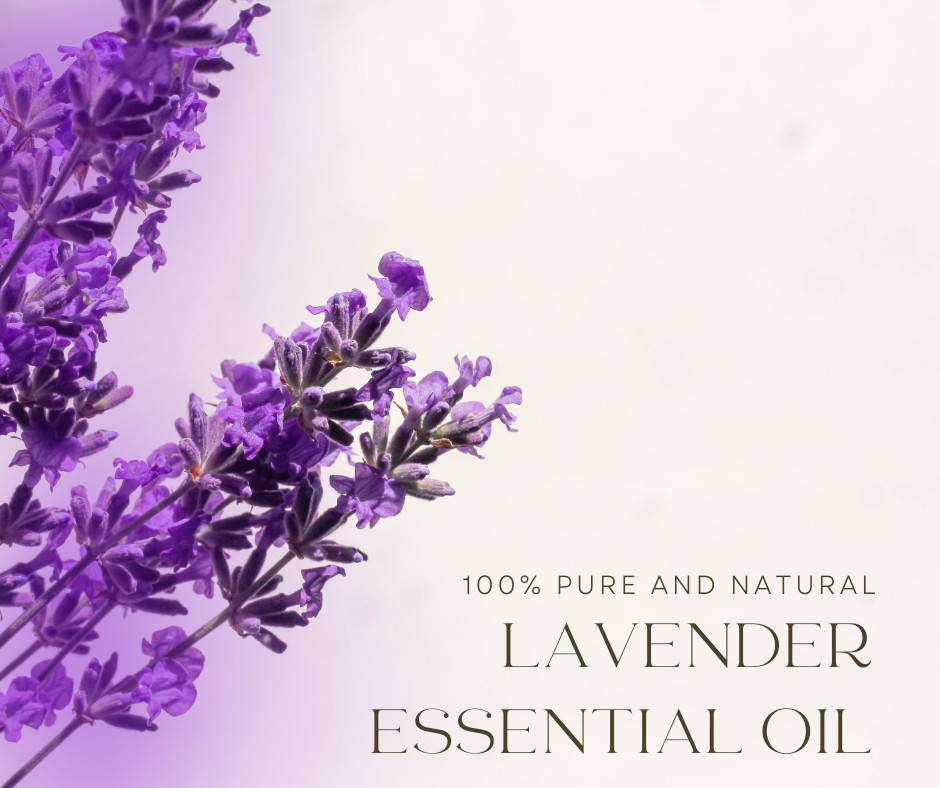 Lavender 40-42 Essential Oil 100% Pure Many Sizes Free Shipping