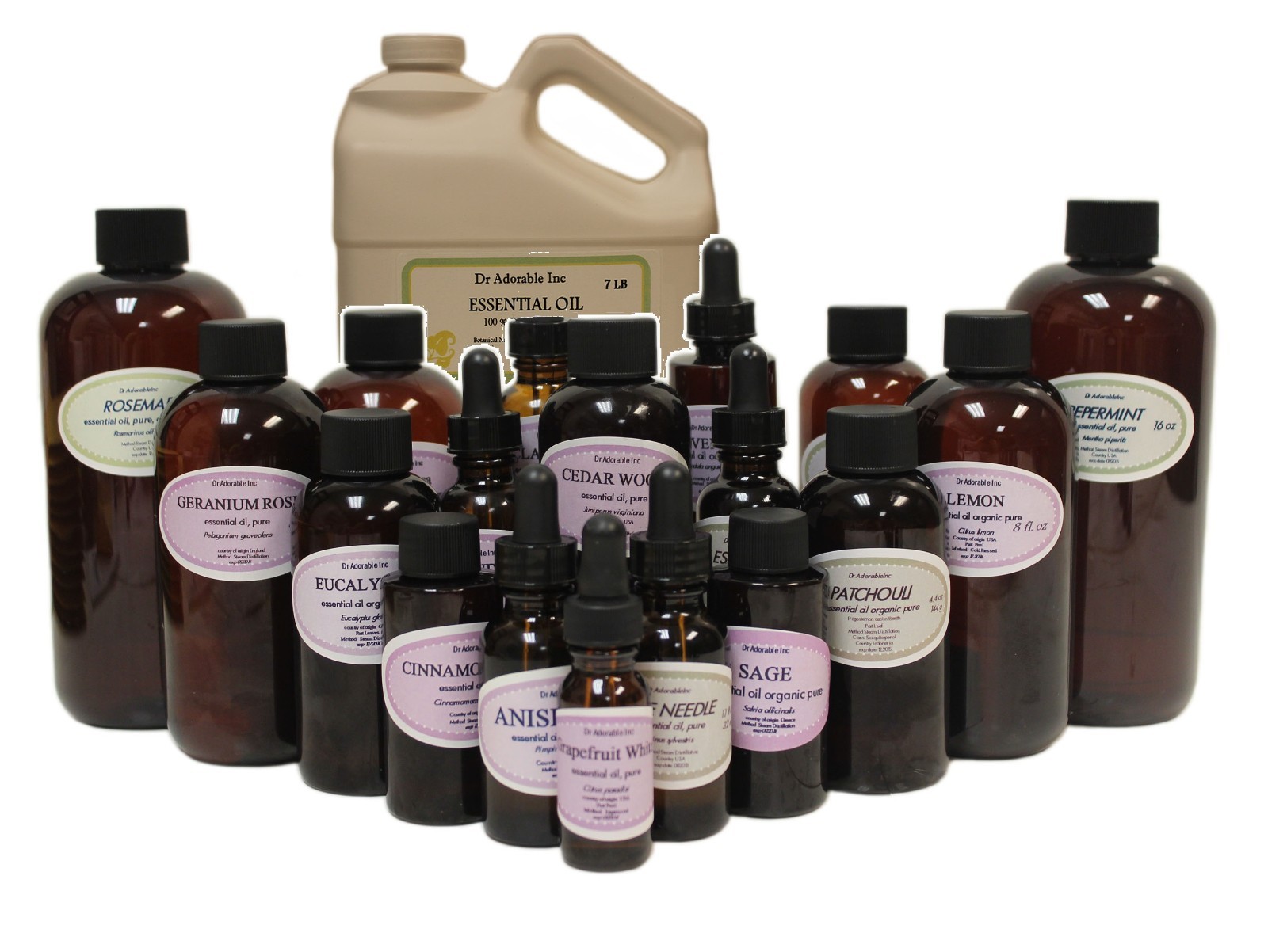 PREMIUM COCOA ABSOLUTE ESSENTIAL OIL 100% PURE ORGANIC NATURAL FRESH