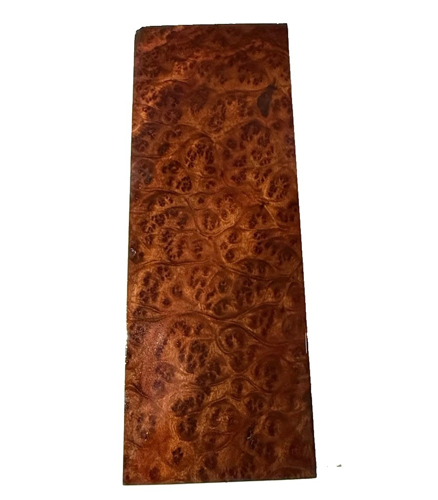 Camphor Burl wood insrument blank 20″ x 7-3/8” x 2″ (v20) dried billet