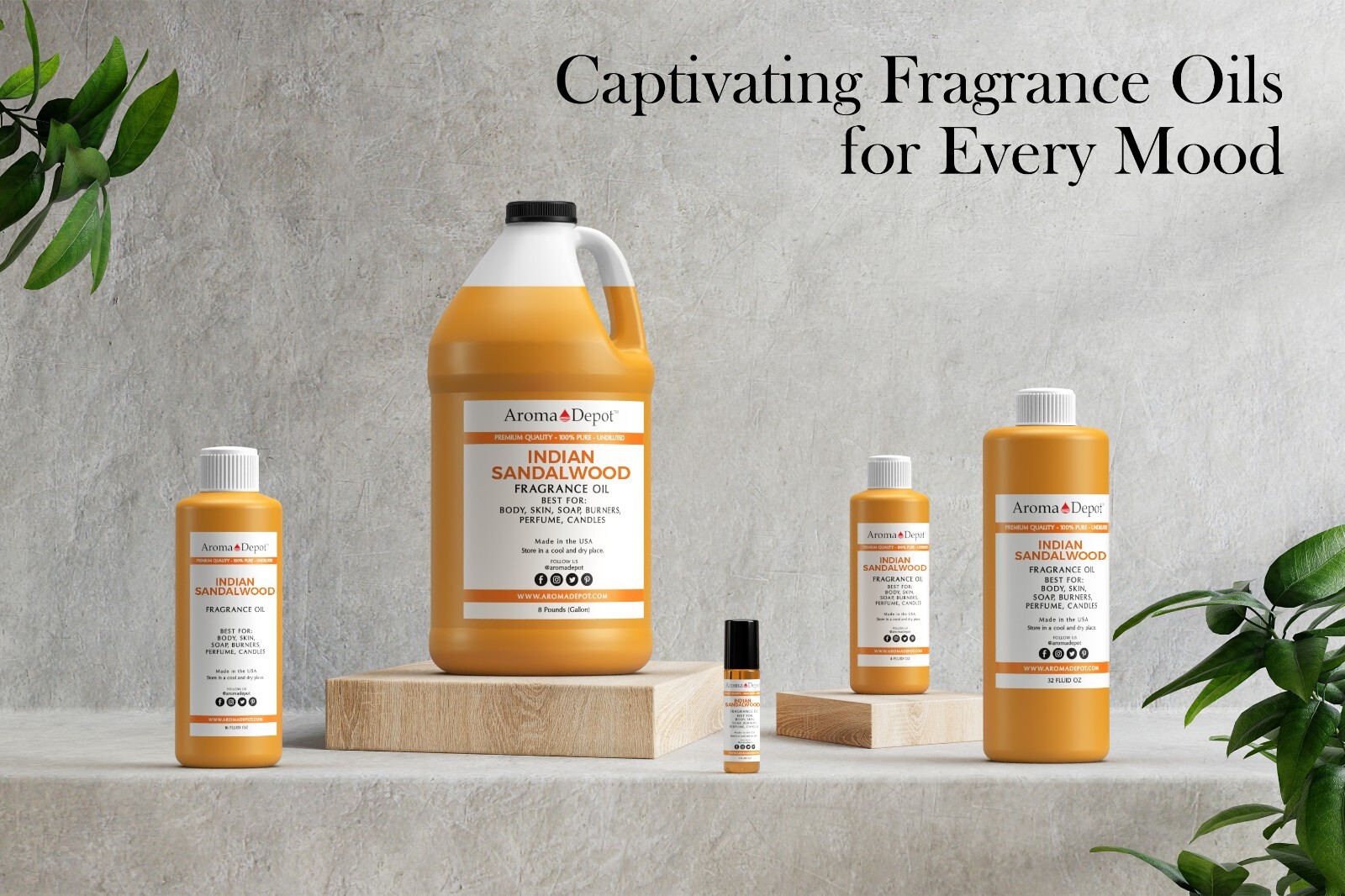 Indian Sandalwood Fragrance Oil for Body, Candles, Soap, Lotion & Diffusers